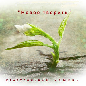 Забывая заднее