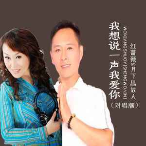 我想说一声我爱你 (对唱版)