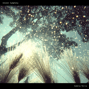 Unseen Symphony