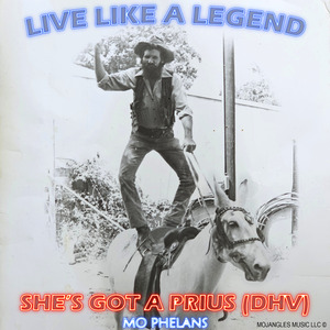 She's Got a Prius (DHV)