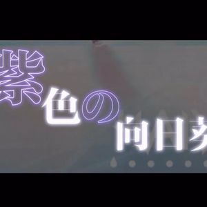 紫色の向日葵【中文填词】