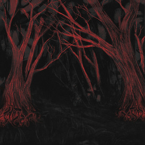 80.70.40.70.3.8.40.50.5