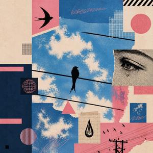 The Swallow