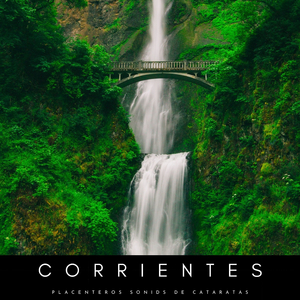 Modulaciones Encantadoras