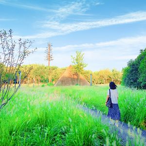 《母亲的微笑》-泓仨