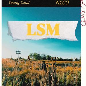 LSM (feat. N1CO) (Love.Sex.Money)