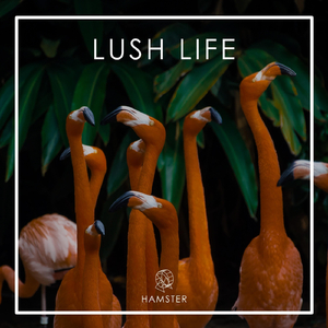 Oh Oh Oh (feat. Serena Foster)