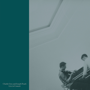 Is it the Priest?: Is it the Priest that you want? / Donald MacLeod's Reel / Sandy Duff / Sgurr nan Coireachan (Live)