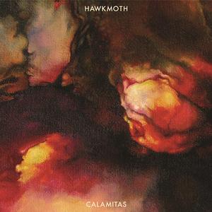 Exsanguinating in the Overflowing Bath