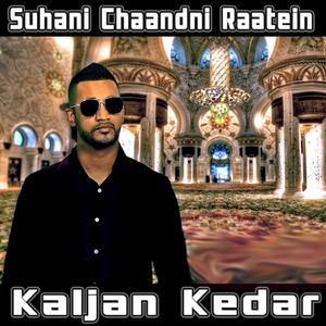 Suhani Chaandni Raatein