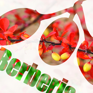 Wrong Waves (Original Mix)