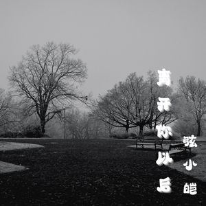 离开你以后（梦恩抖音热搜男声版）