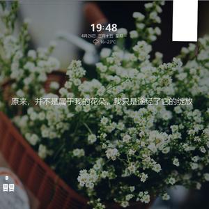 下落不明（翻自 张彬彬）