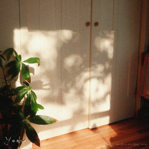 when sunlight scatters