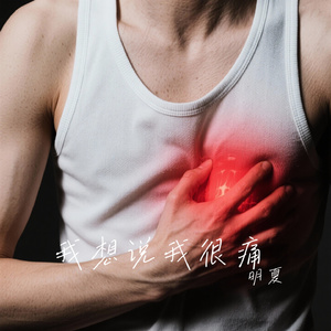 我想说我很痛