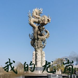 我的龙岗