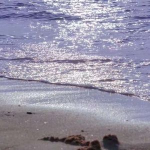 虚构世界的写实派