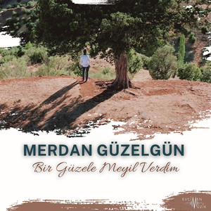 Bir Güzele Meyil Verdim