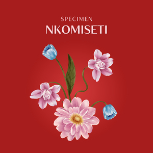 Nkomiseti