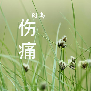 伤痛 (囚鸟演唱版)