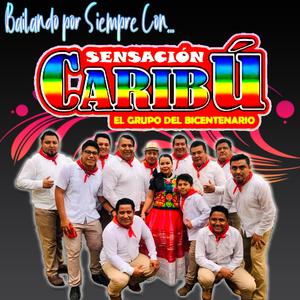 Popurri de Exitos Timida, la Vuelta, Asesina de Amor