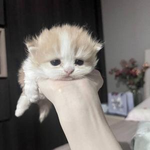 石青叠加 Type Beat