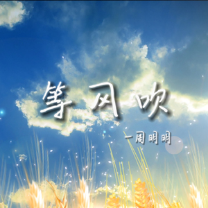 等风吹