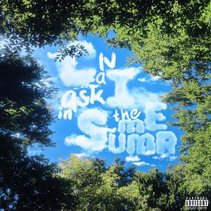 Can I ask in the Summer