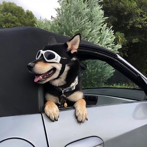 The Weeknd / Daft Punk – Starboy