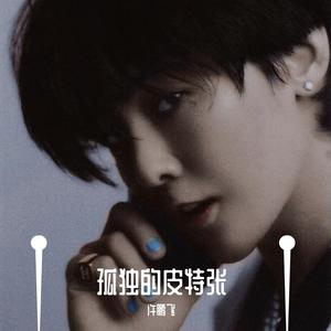 孤独的皮特张（翻自 蒋蒋）
