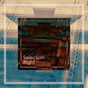 选择权(Selection Right)