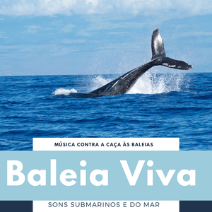 Conservação dos Oceanos