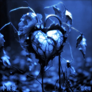 不懂爱 prod by Yn1jasper
