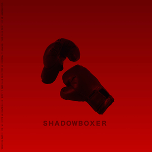SHADOWBOXER
