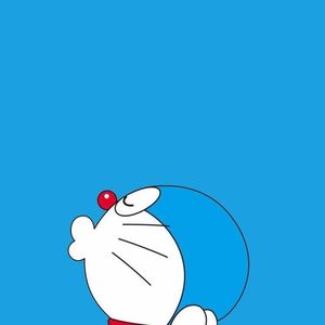 毛猫冒 (6)