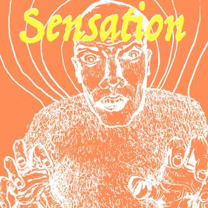 Sensation (Remix)