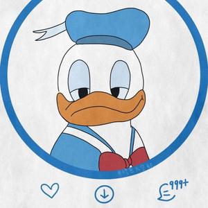 蜜蜂（翻自万玲琳)