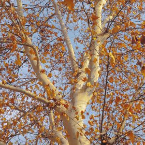 我的名字（cover 焦迈奇）