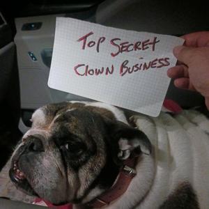 Downfall of the Apes