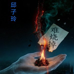 《难烧掉》