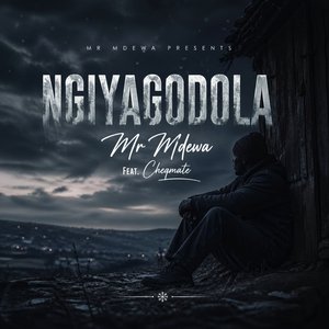 Ngiyagodola (Radio Edit)