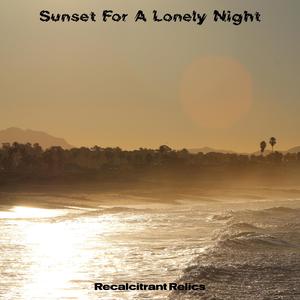 Lonely Night