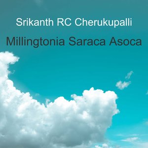 Millingtonia Saraca Asoca