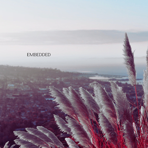 Embedded