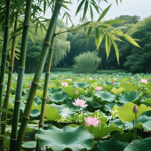 夏意正浓