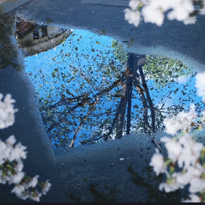 新雨后After the New Rain