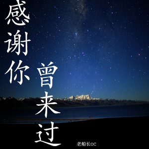 感谢你曾来过REMIX