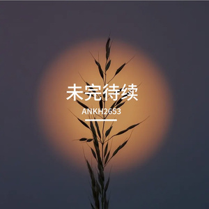 未完待续