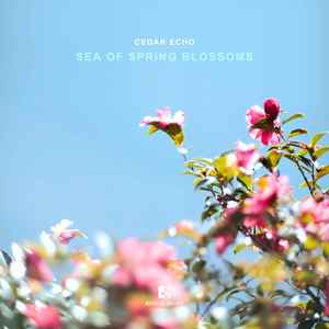Sea of Spring Blossoms