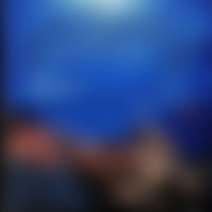 Intrauterine Cannibalism (Live Bonus Track)